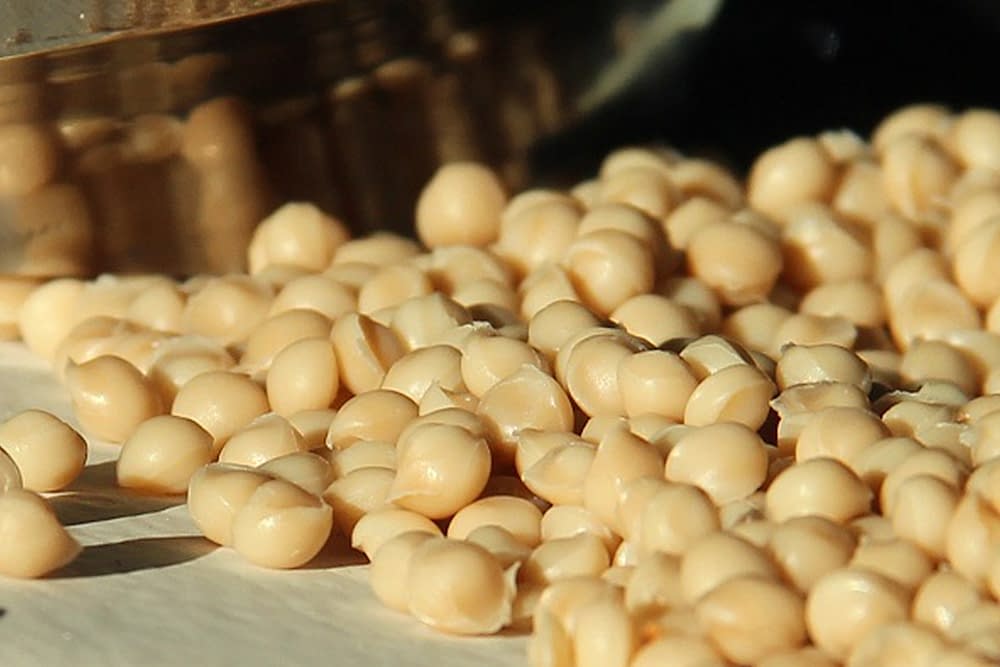 uygulamaalanlari-biyopolimerler